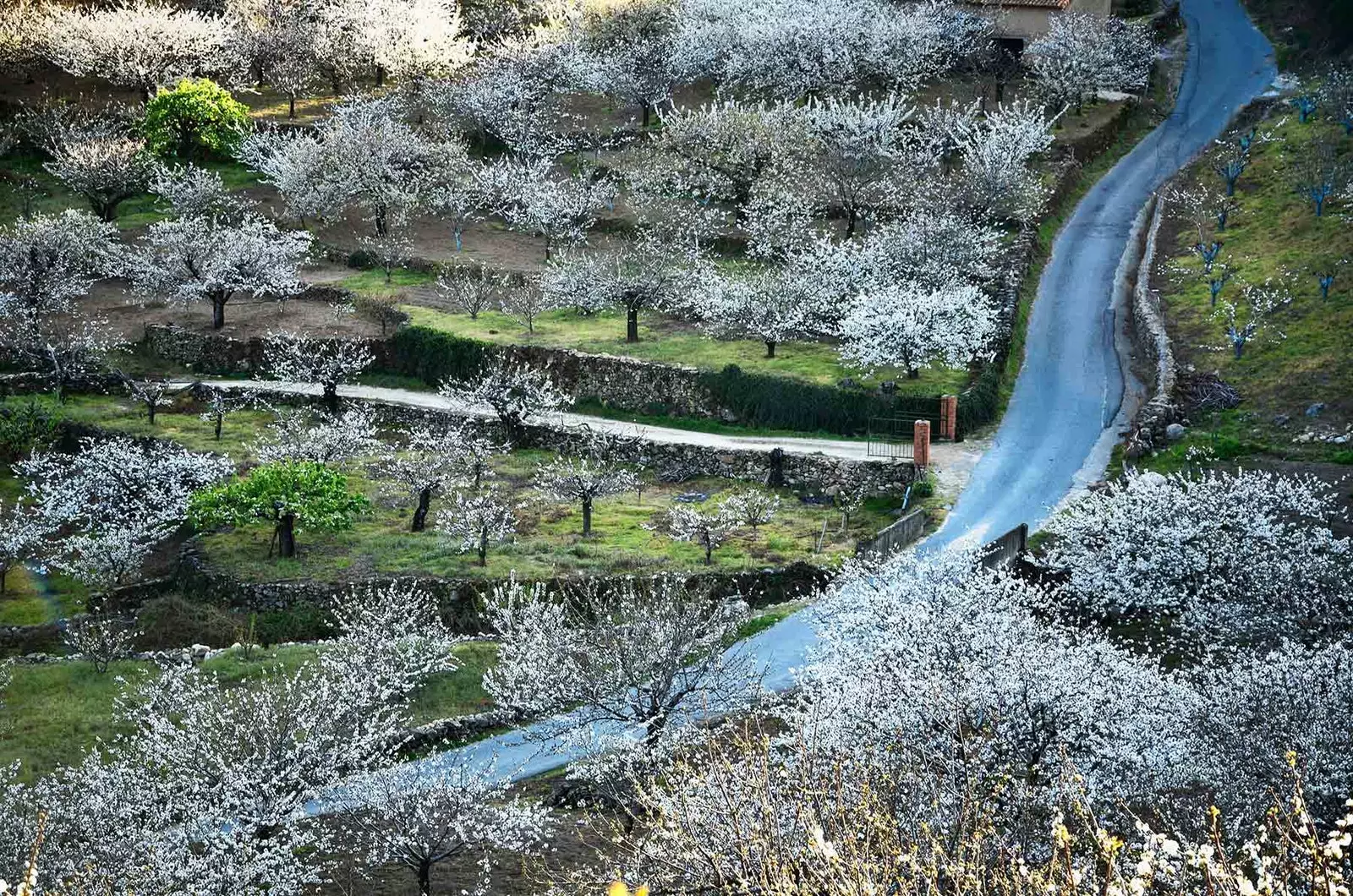 The most spectacularly beautiful secondary roads in Spain