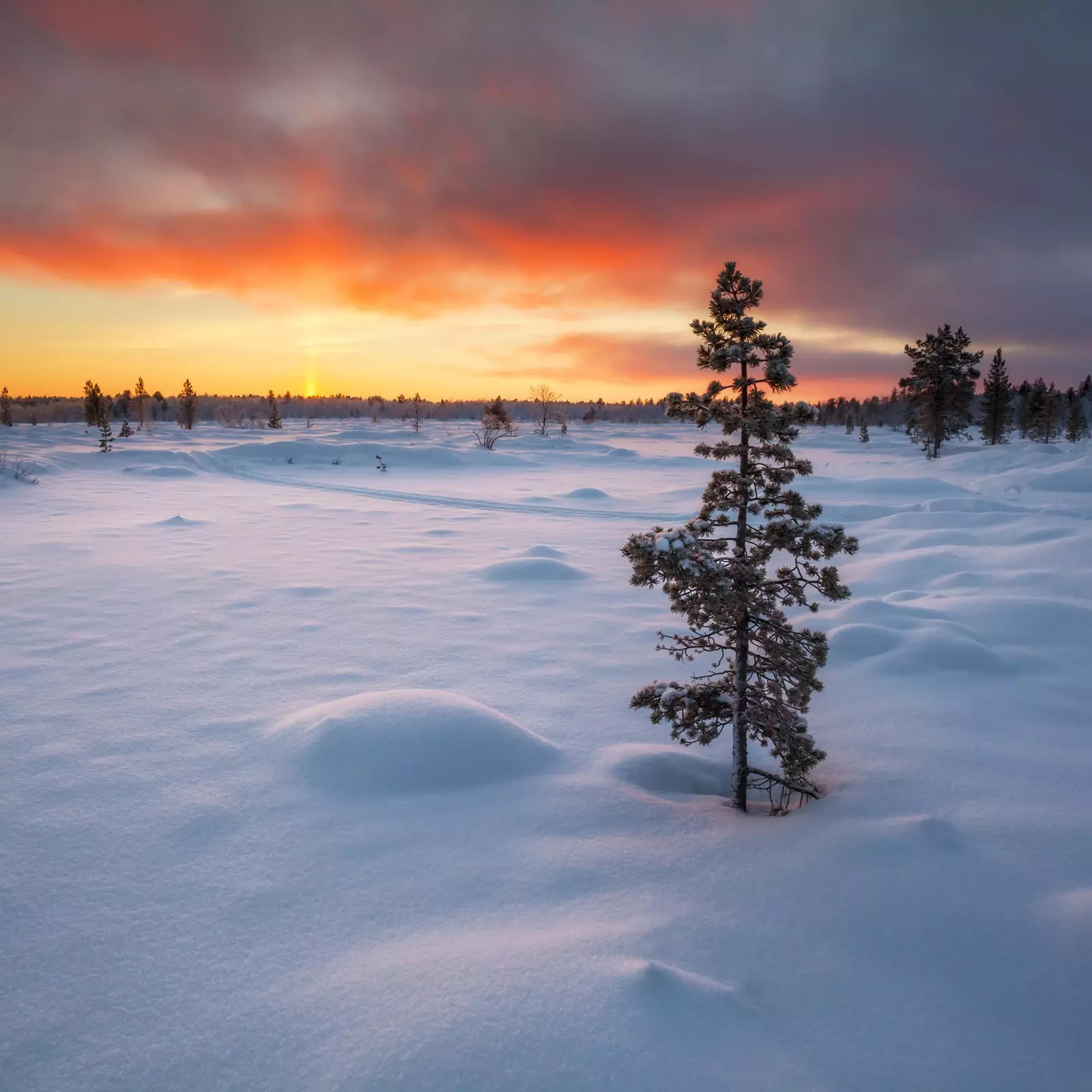 Möge die Taiga mit uns sein