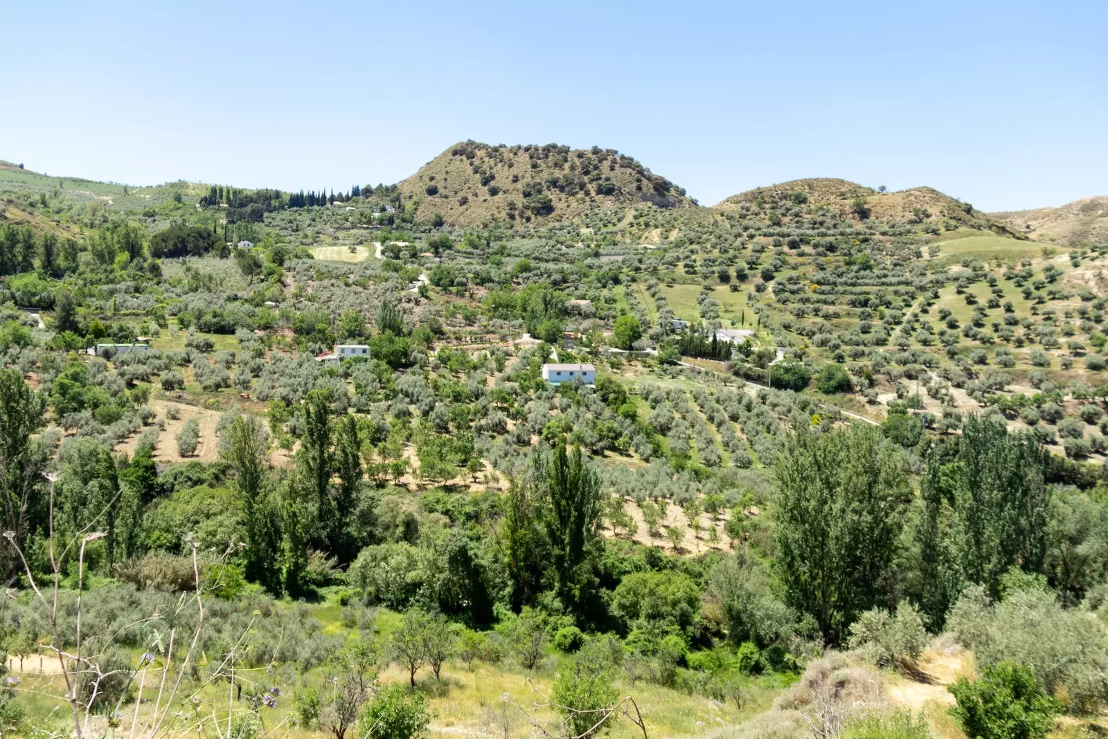 Monachil, grad vaših snova između visokih planina i Costa Tropical