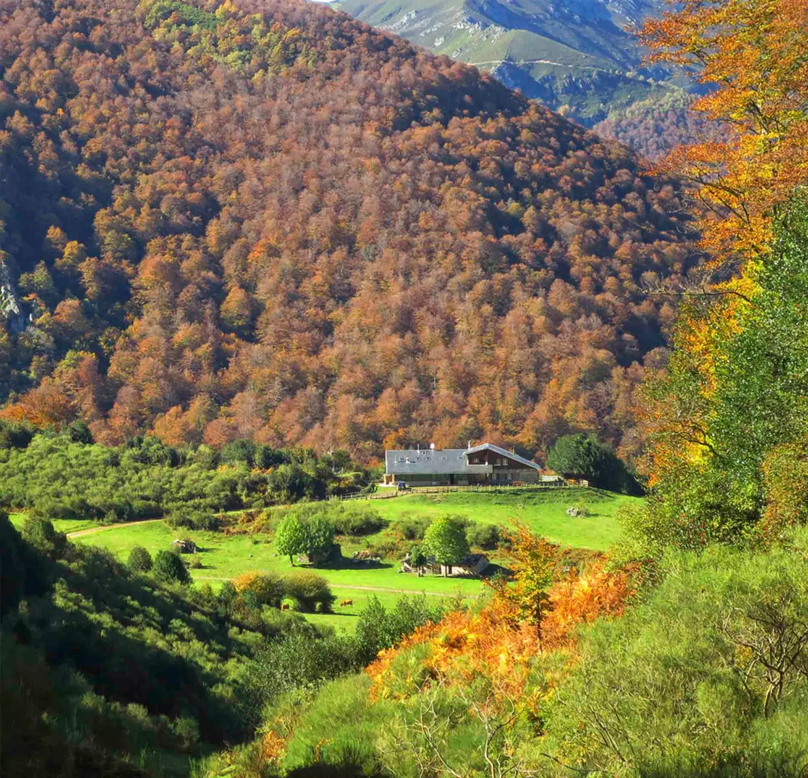 Brañagallones shelter