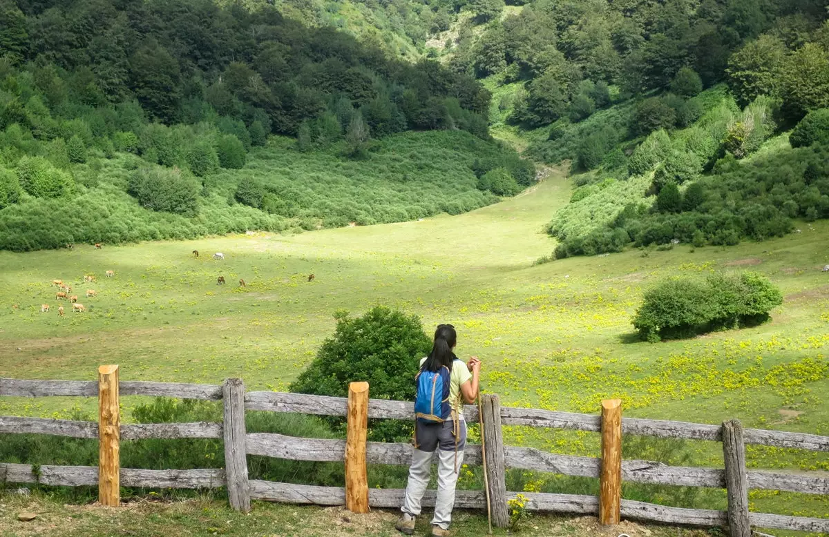 پناهگاه Brañagallones