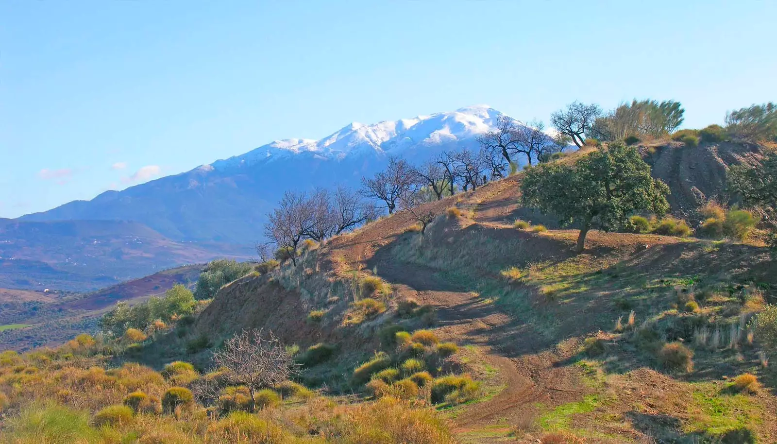 xung quanh đài phun nước đầu núi malaga