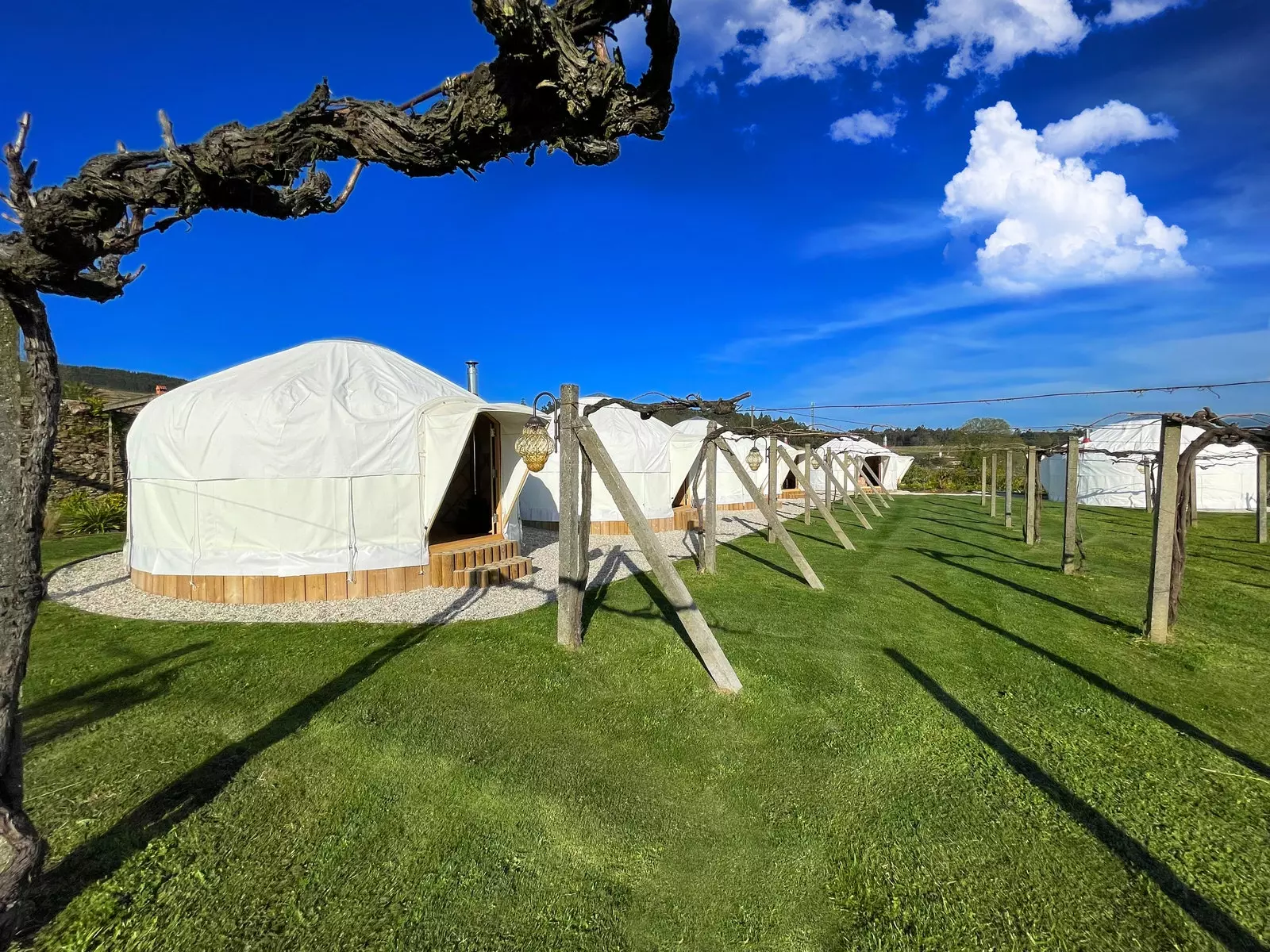 Yurts vun Casa Beatnik Hotel