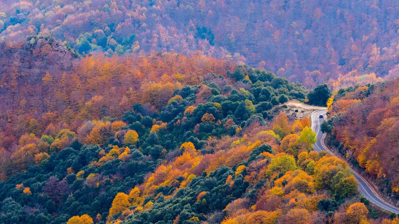 Ова е Барселона која не ја очекувате