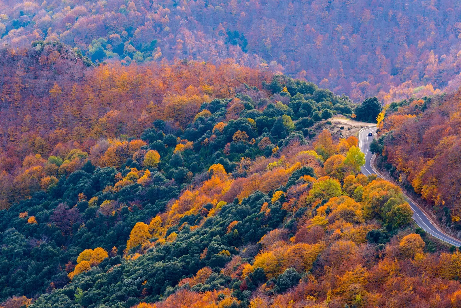 Os caminhos do Montseny