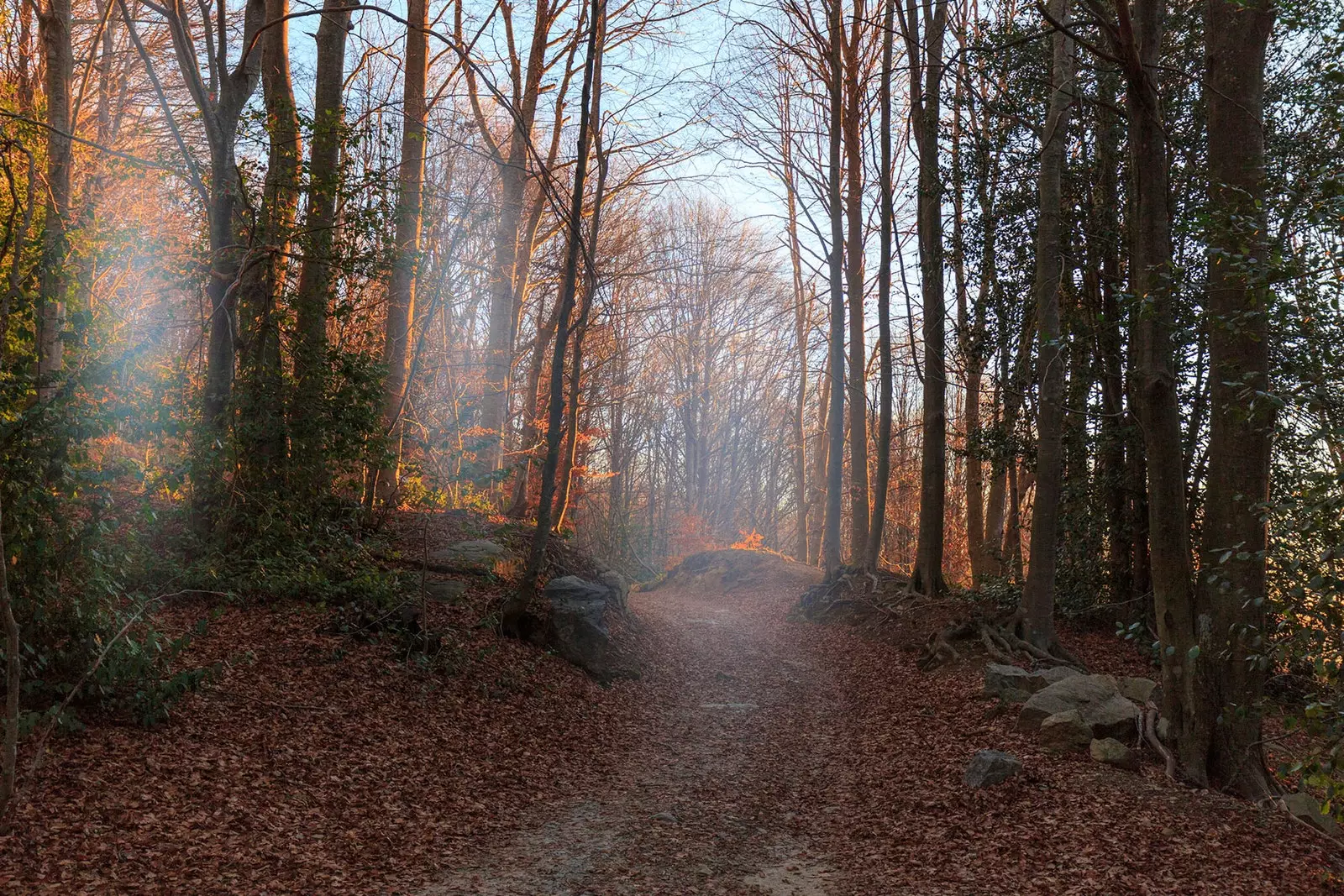 Taman Alam Montseny