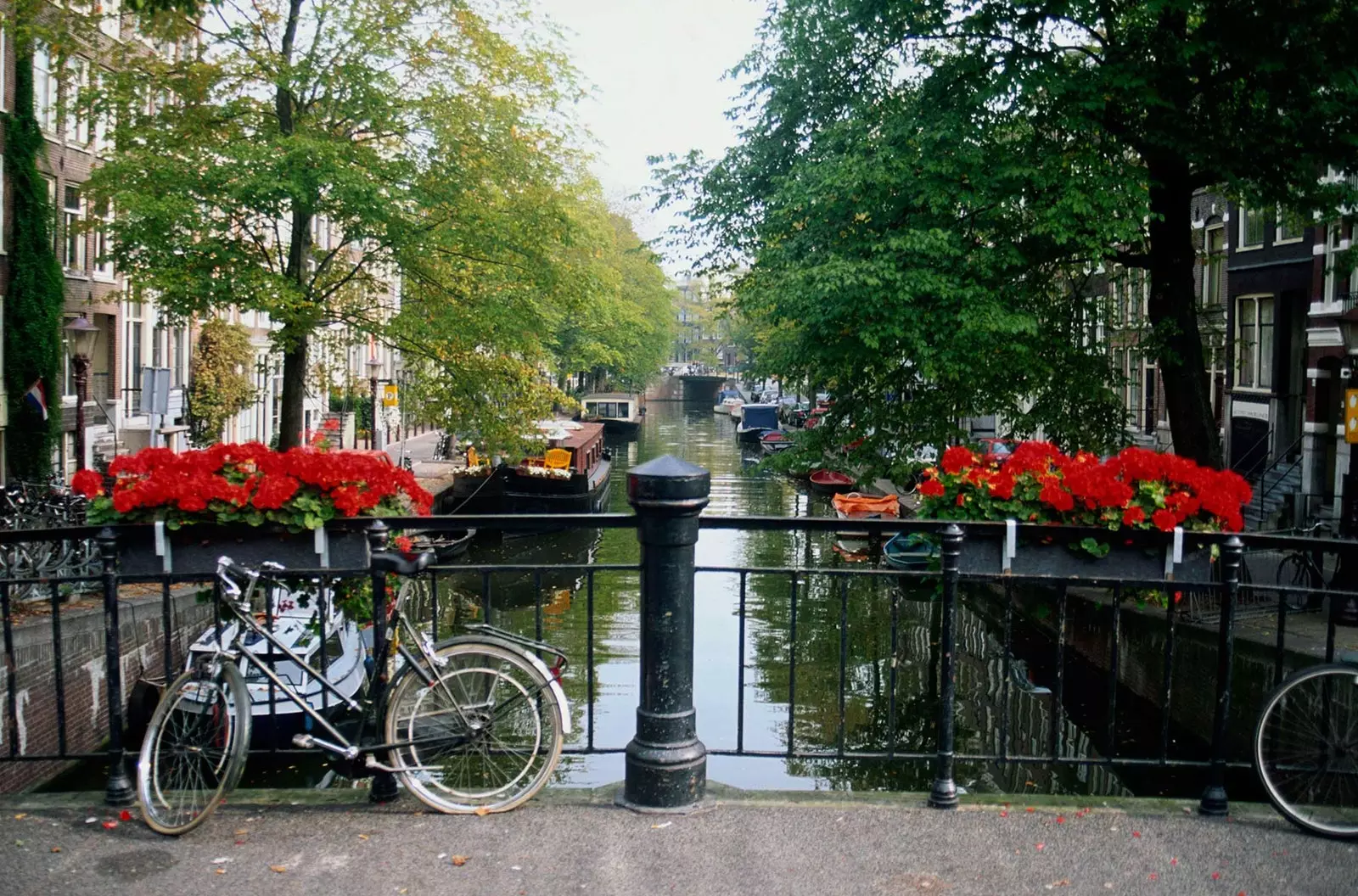 am Amsterdam đây chúng ta đi