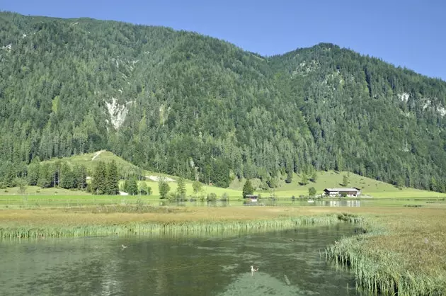 Lago Pillersee