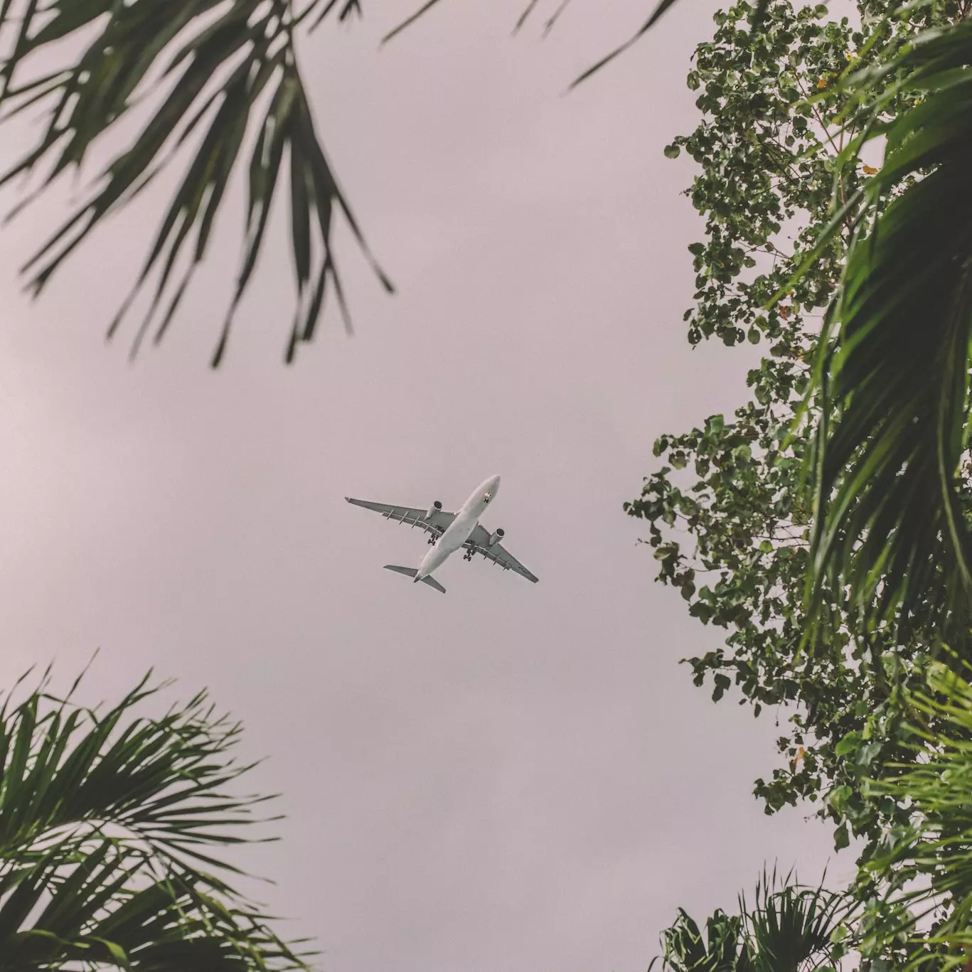 Pilotos sabem o que fazer para reduzir as emissões de carbono dos aviões