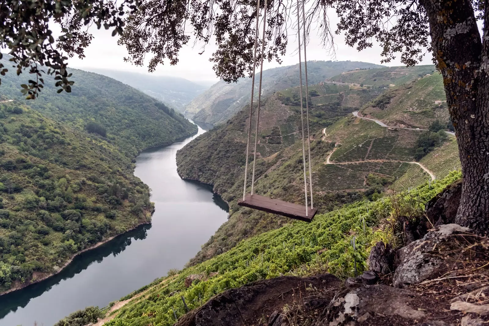 Terra Brava ljuljačka