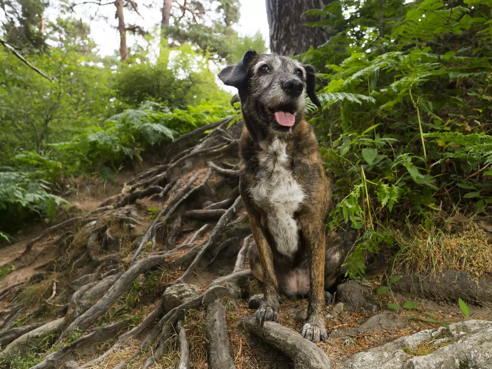 Your best friend will always be more handsome than you.