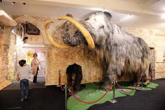 Mammoth Museum