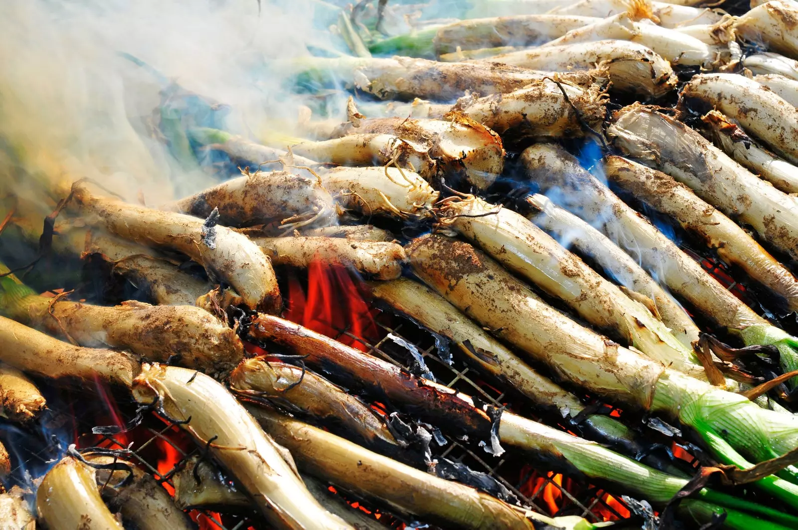 Kemm hemm calçots fir-rekord tiegħek