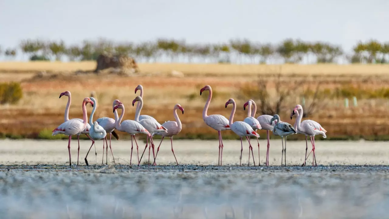 Vores beskyttede områder: Spanien, økoturismens paradis