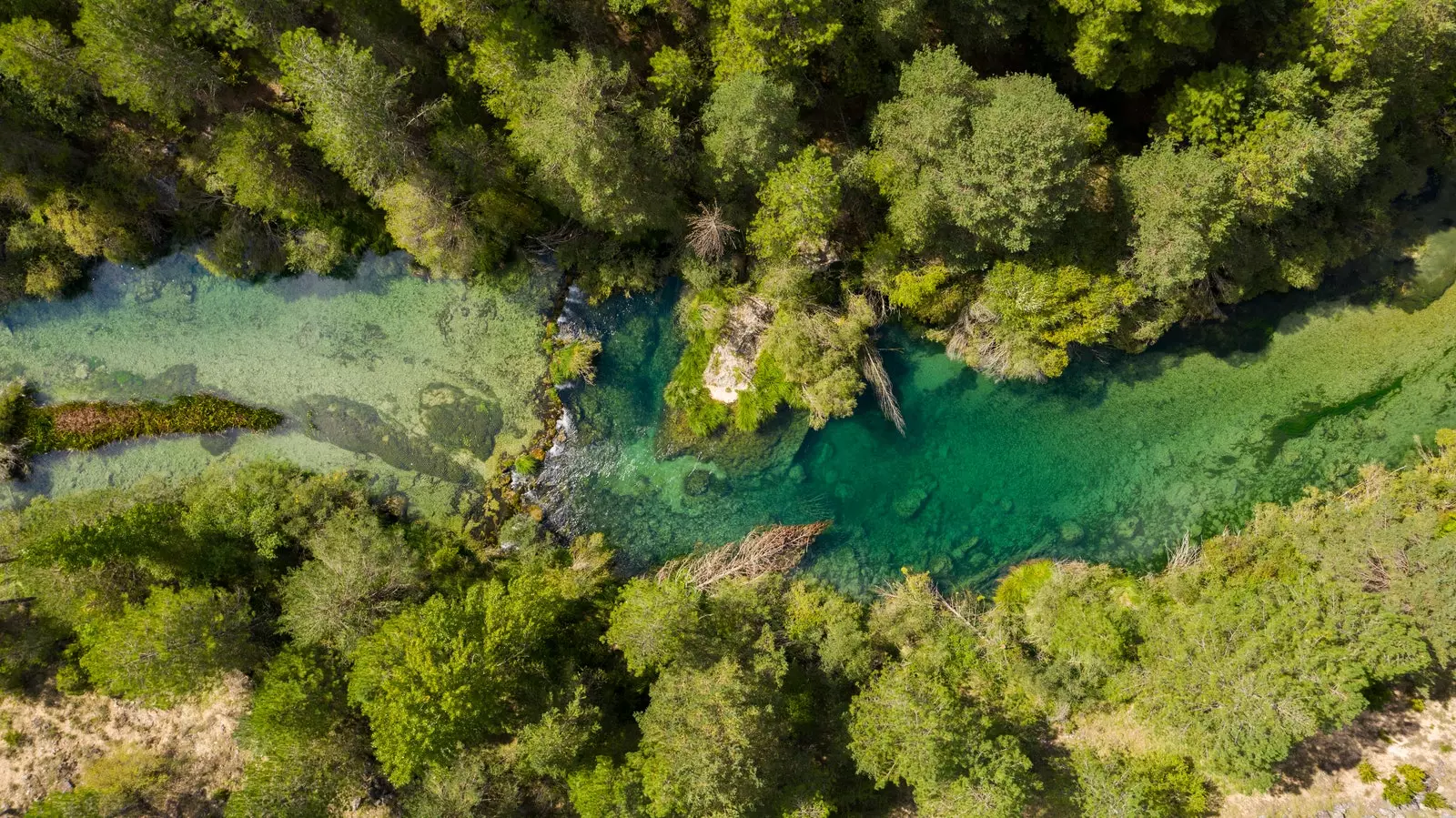 Բարձր Թագուս