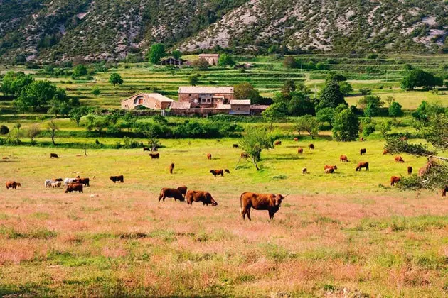 Die Solsonès in Lleida