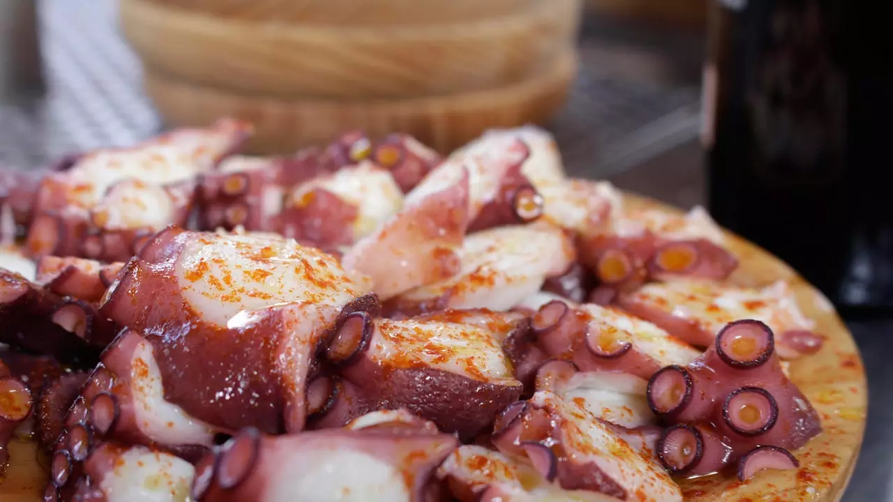 Pulpo Pasión 2018: febre do polvo na feira chega a Madrid