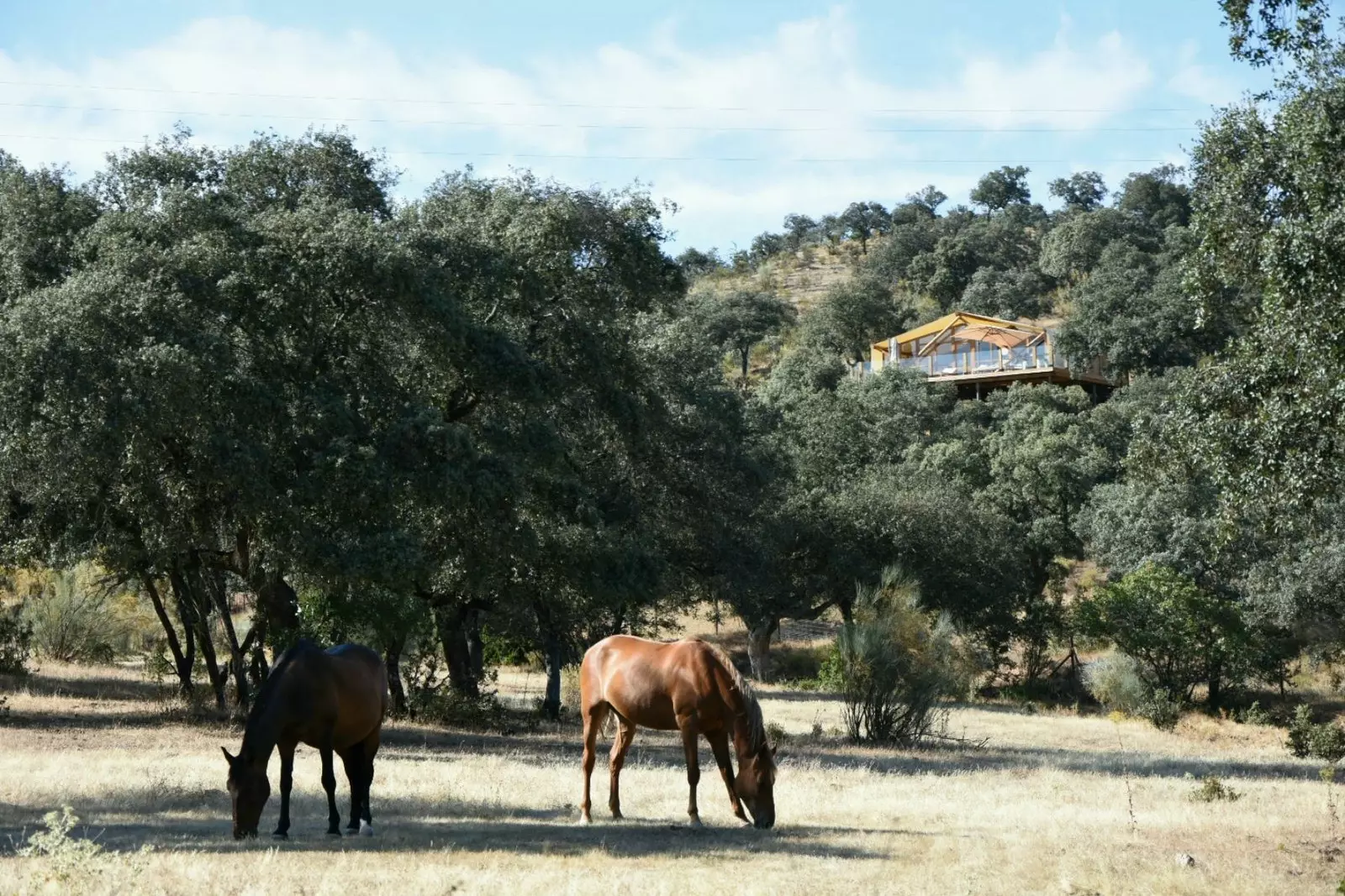 La Dehesa tajribalari