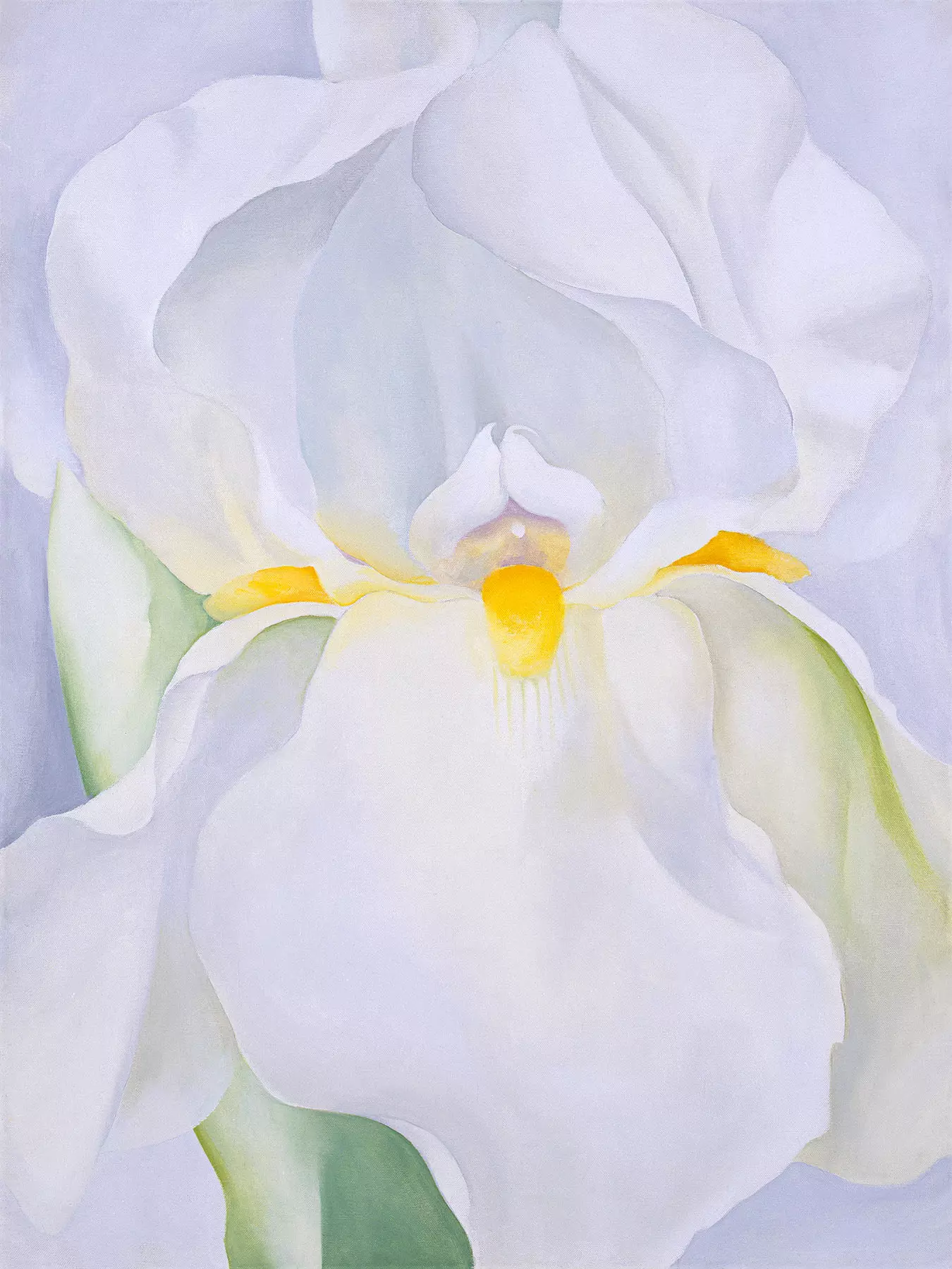 'White Lily No. 7' by Georgia O'Keeffe