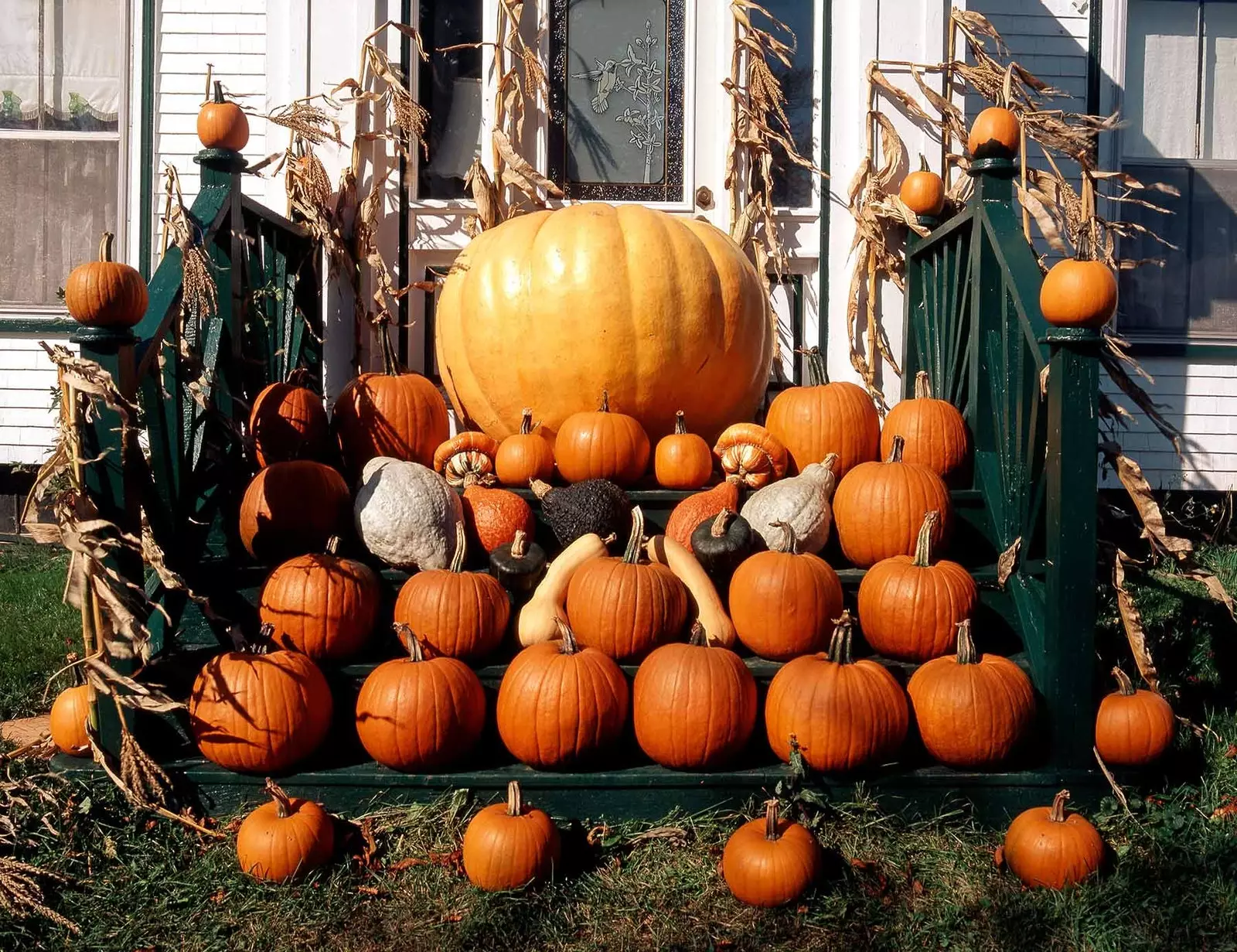 Qara aħmar għal Halloween