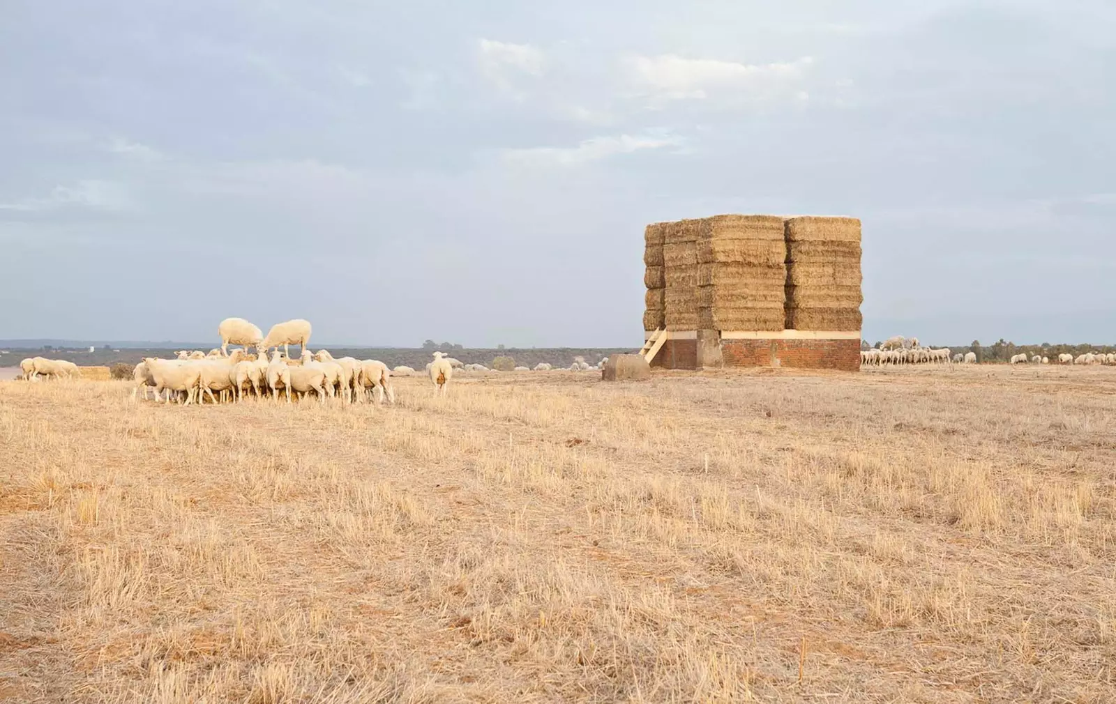 Le paysage rural réinventé