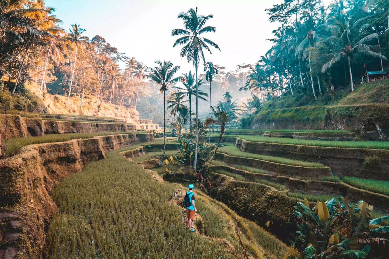 As empresas estão cientes do benefício de uma viagem