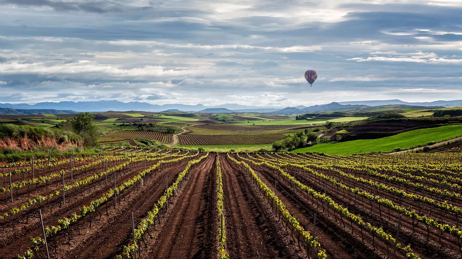 Seja ativo na primavera em La Rioja