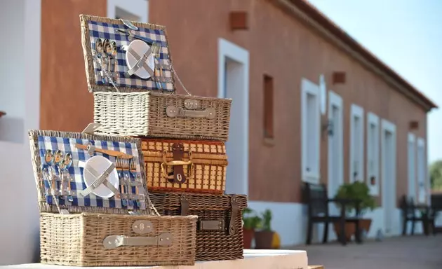 Picnic del cestino della formica a Lisbona