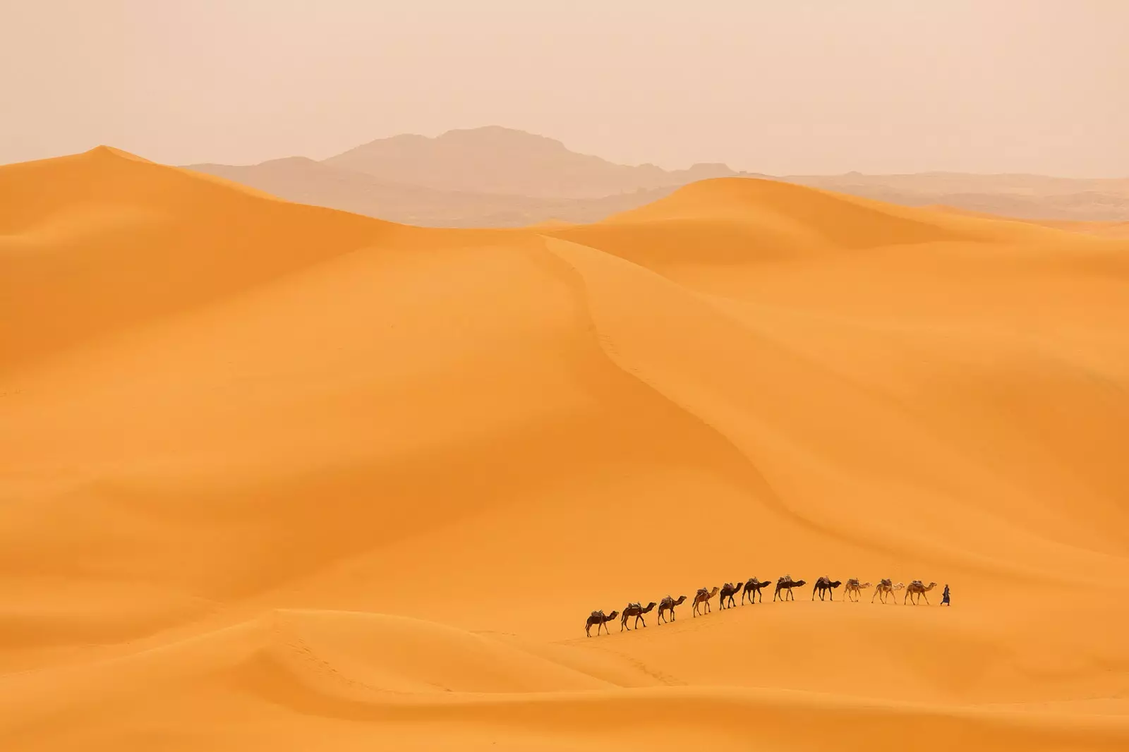 Chase the wise men through the Sahara desert.