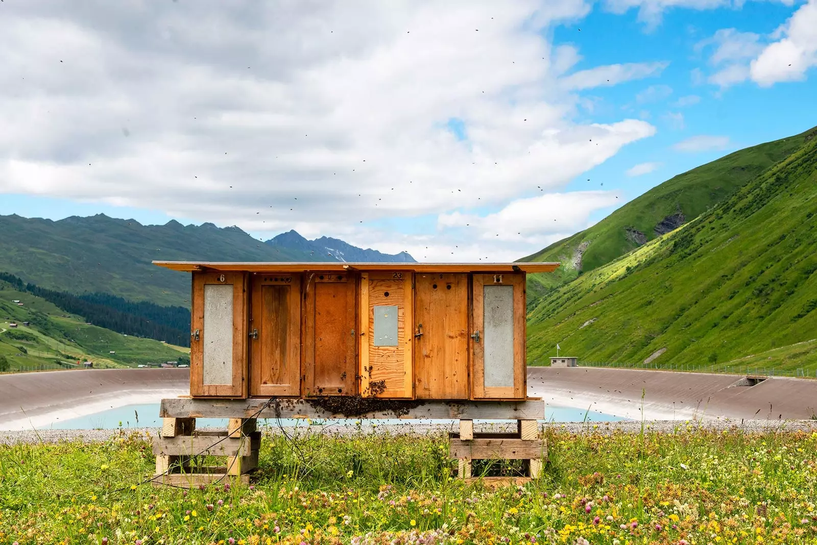 La ruche d'abeilles de Marianne Halter et Mario Marchisella