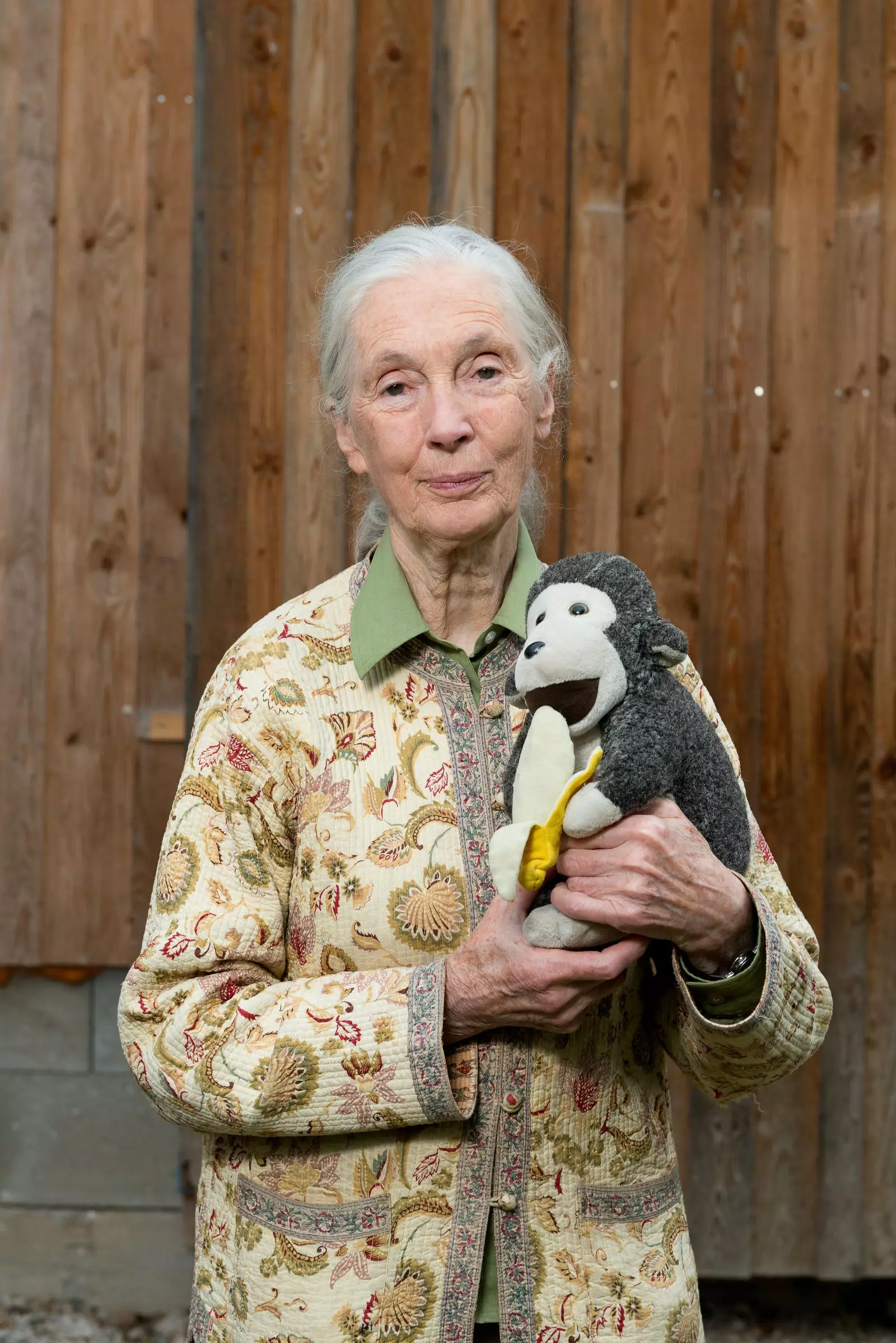 Jane Goodall in einer ihrer vielen Konferenzen, begleitet von ihrem unzertrennlichen Schimpansen.