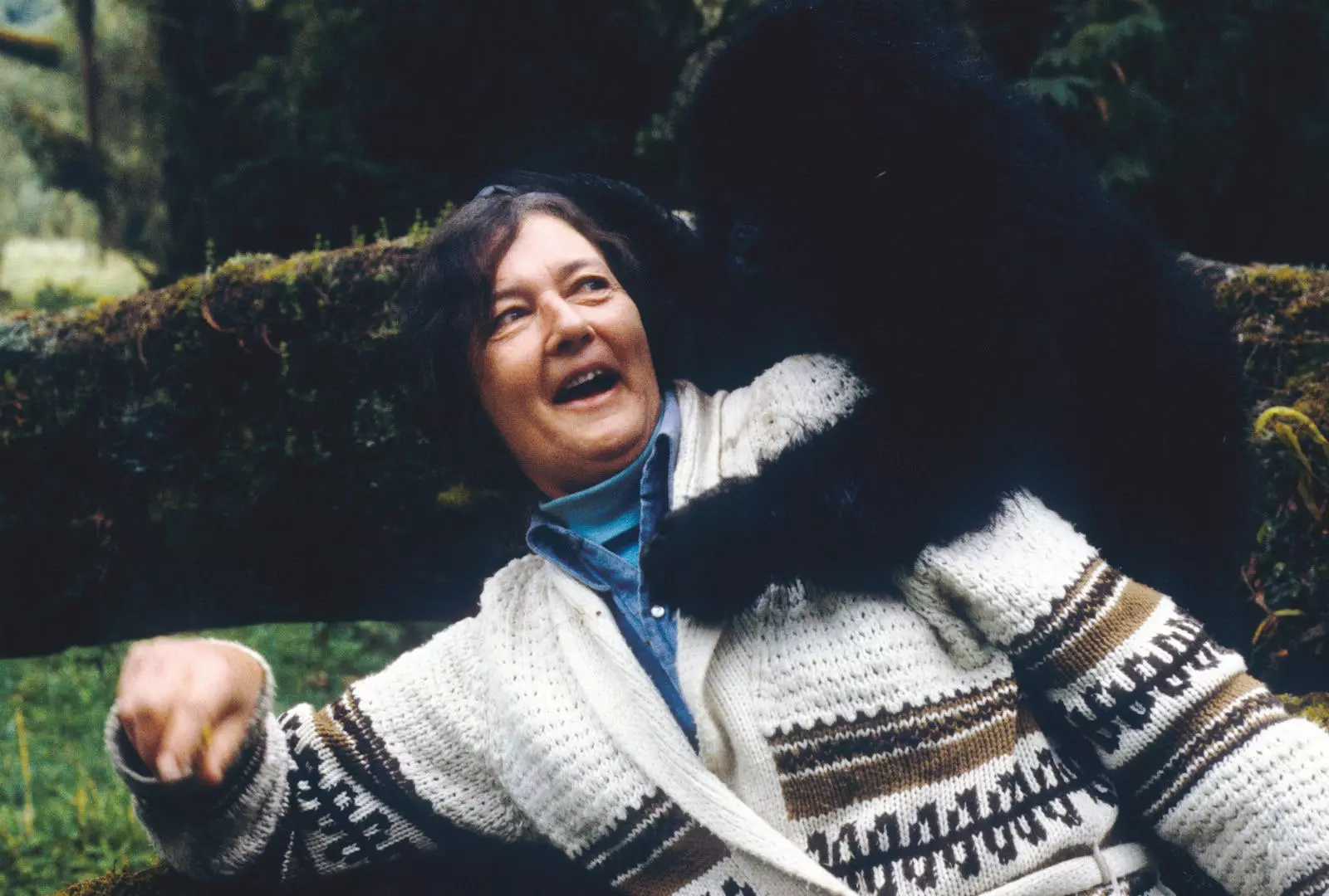 Dian Fossey η Αμερικανίδα ζωολόγος ερωτευμένη με τους γορίλες Virunga.