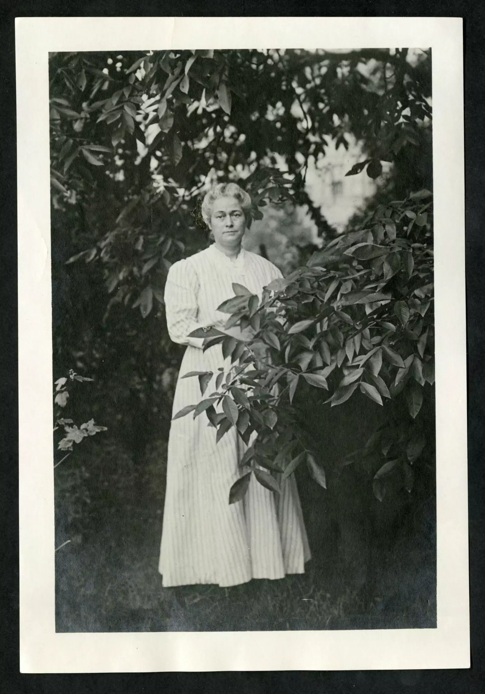 Florence Merriam Bailey naturalist above all else.