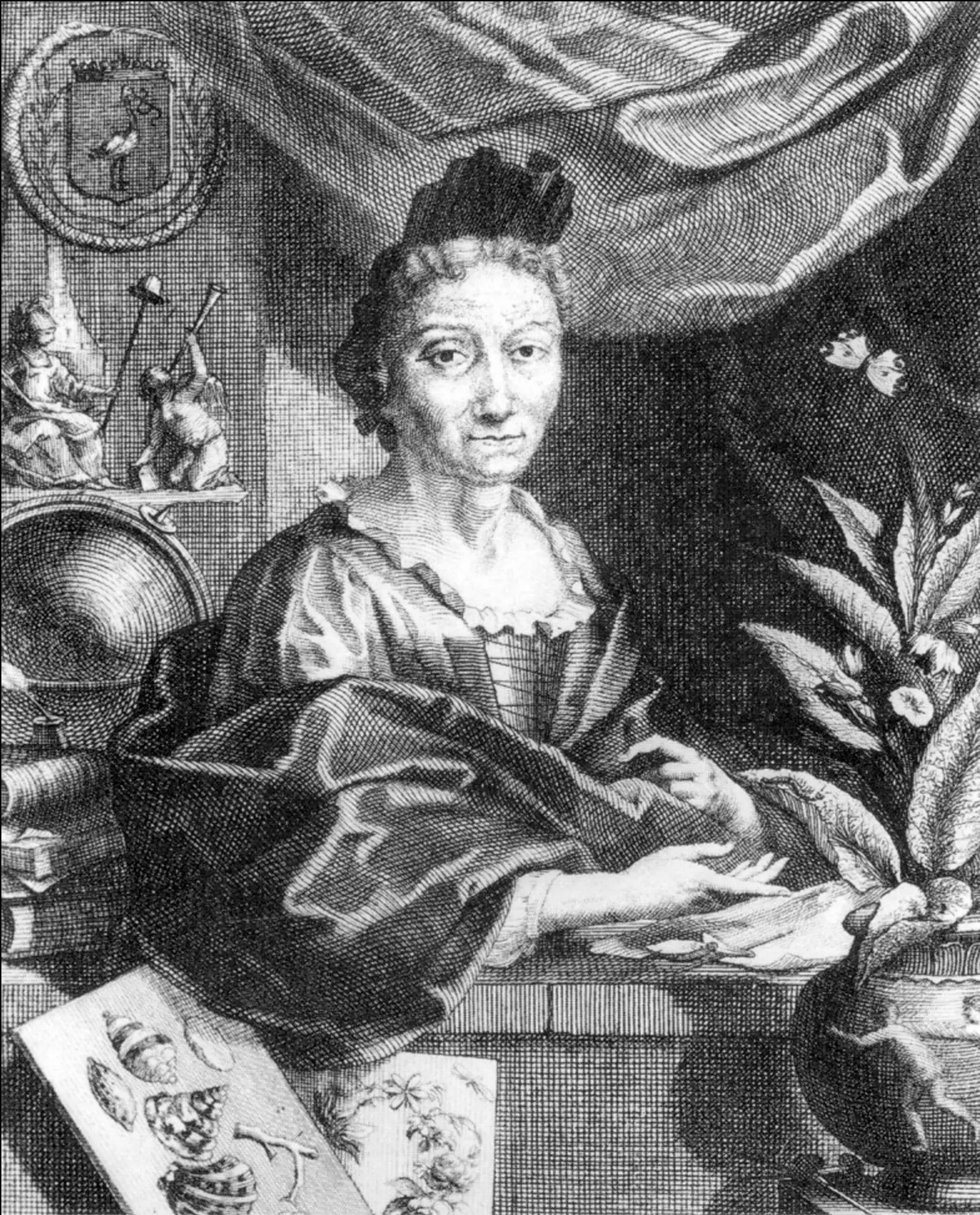 Maria Sibylla Merian rəssam alim.