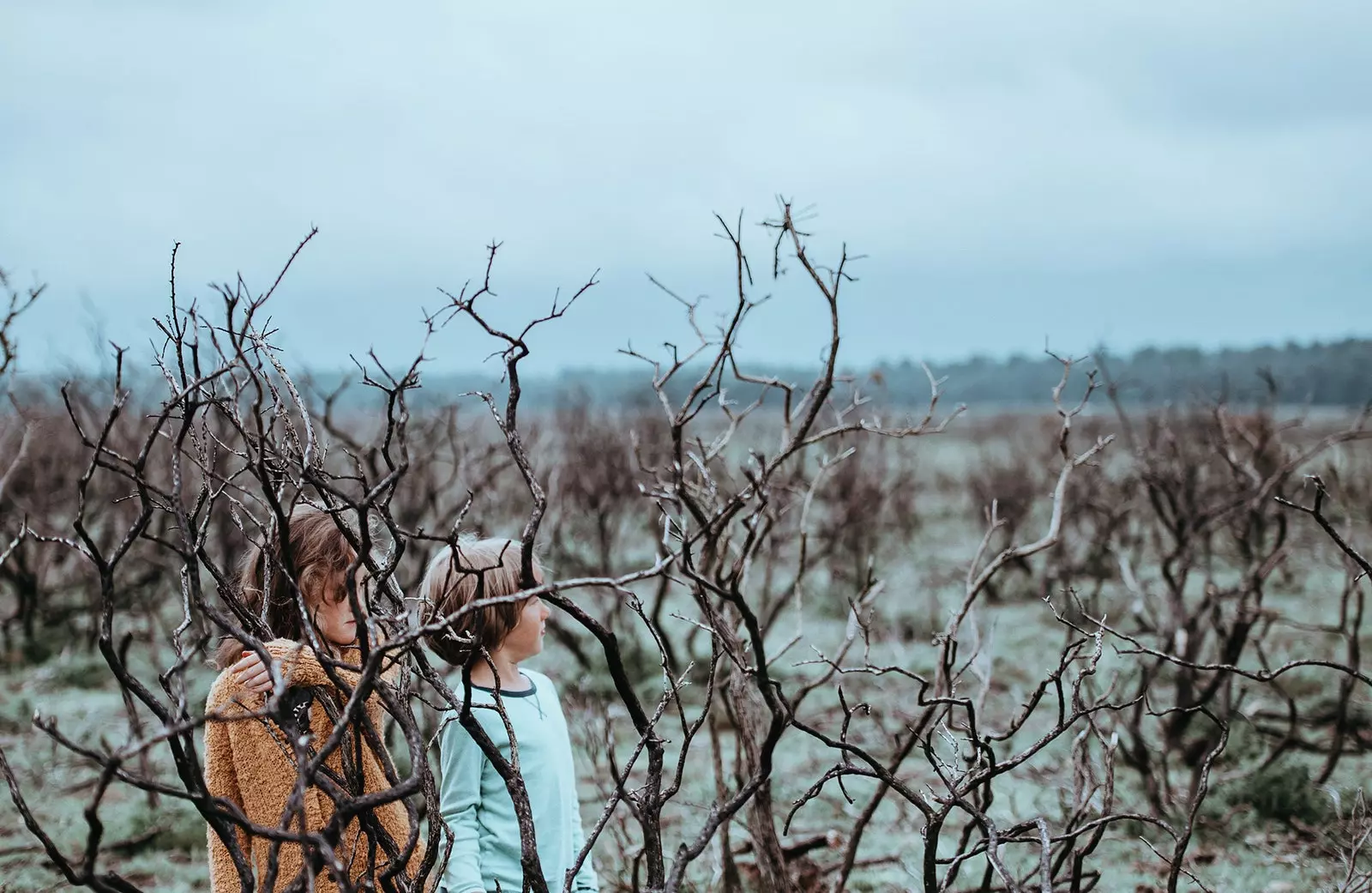 Ecologia Întunecată care cere o schimbare de paradigmă astfel încât să pariem pe o ecologie fără natură