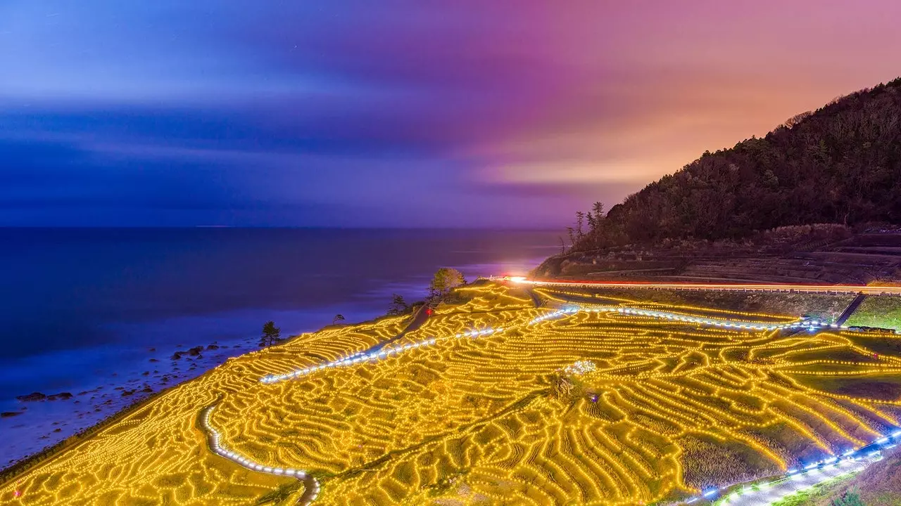 Japan Illuminates Shiroyone Rice Fields