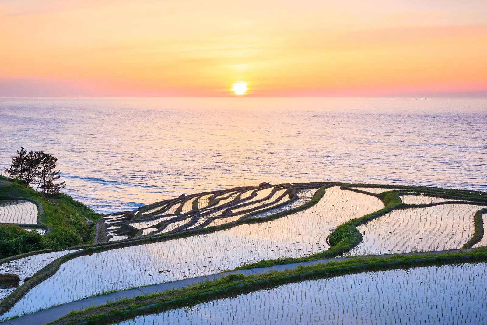 A movie sunset at Shiroyone Senmaida