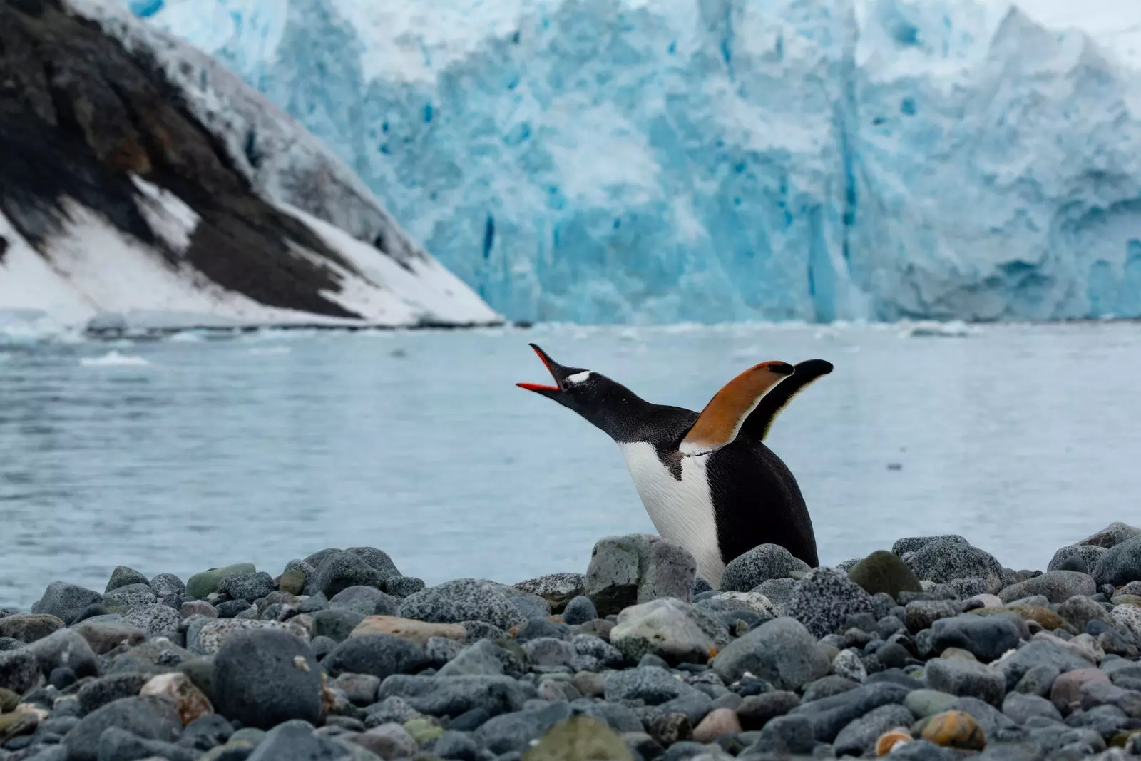 Por que é urgente proteger nossos oceanos