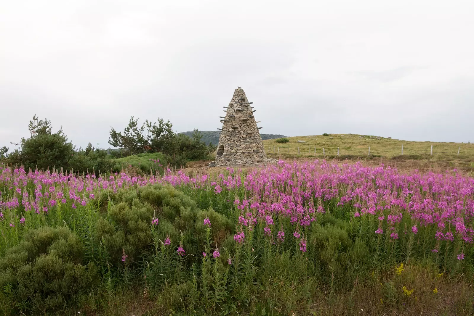 The Tour to Eau Partage