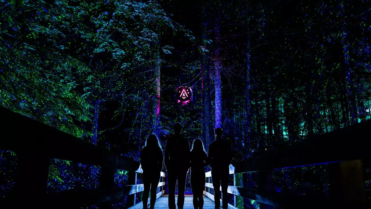 Vallea Lumina or how to fill a Canadian forest with lights and music