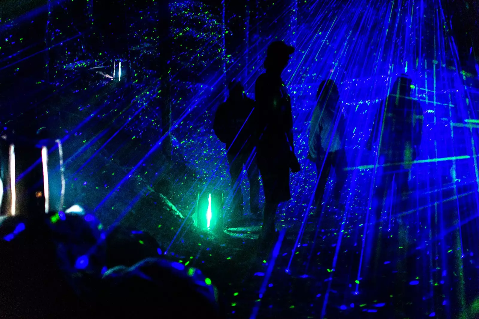 Vallea Lumina or how to fill a Canadian forest with lights and music