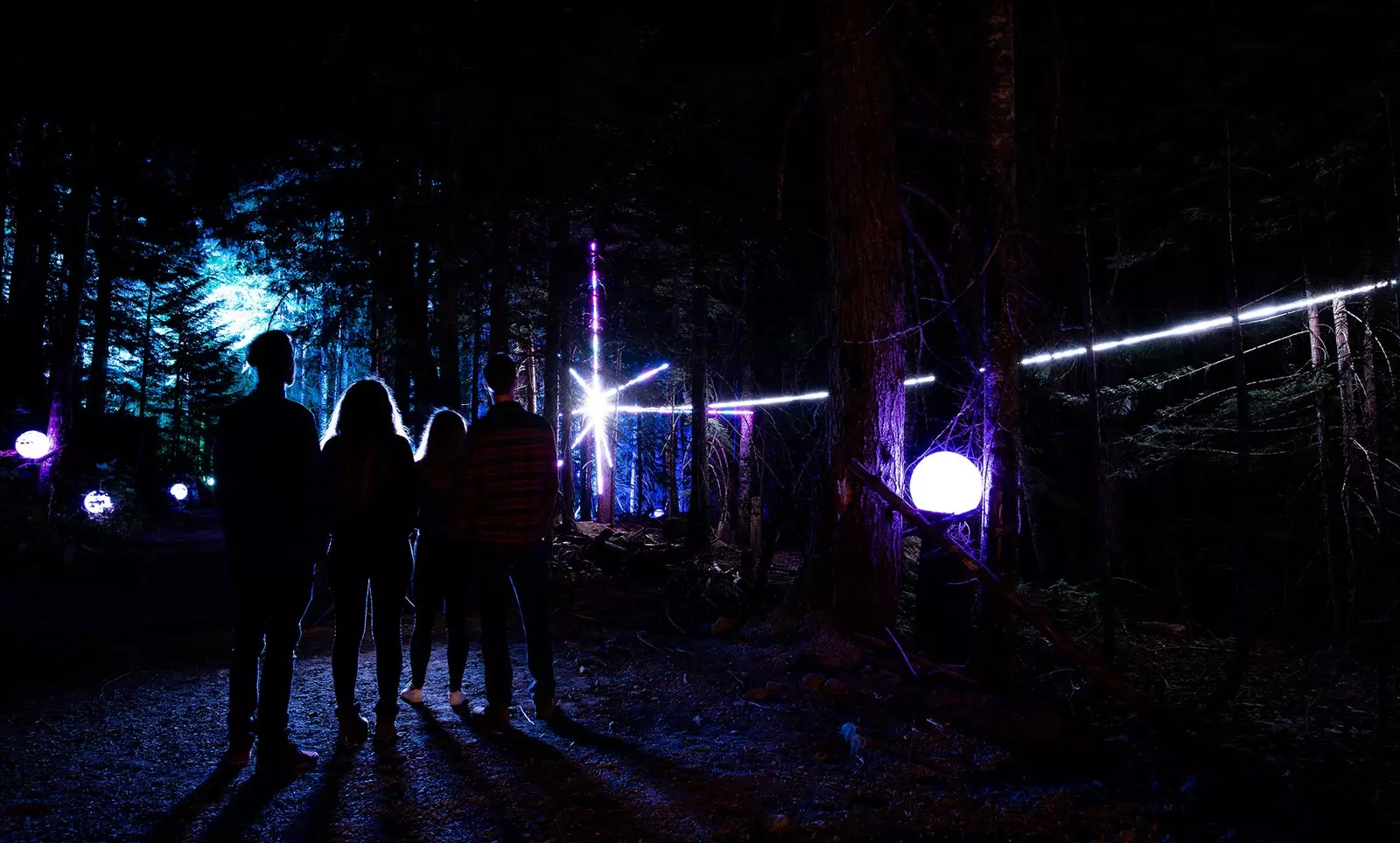 Vallea Lumina or how to fill a Canadian forest with lights and music