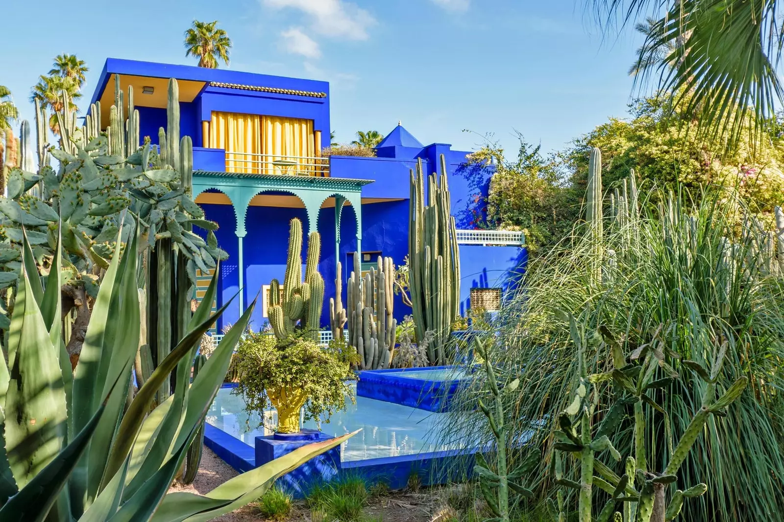 A Majorelle kert