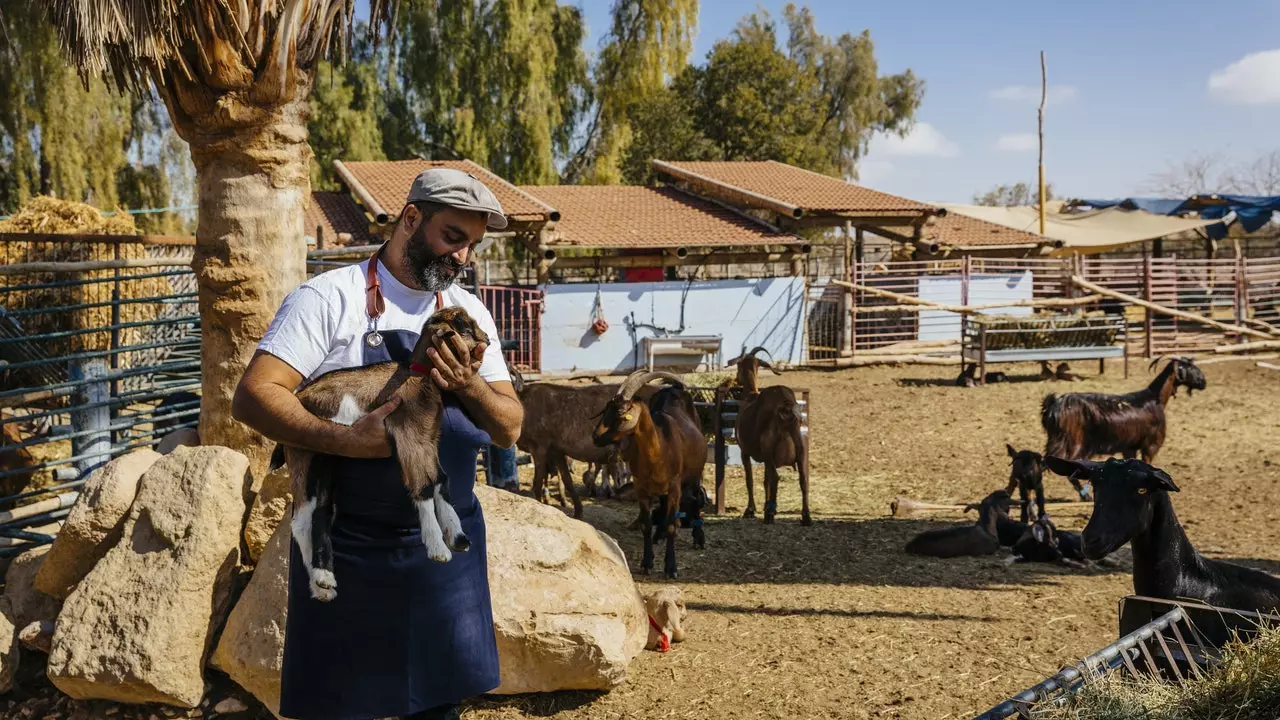 Six Senses-kedjans välbefinnande anländer till Negev-öknen, i Israel