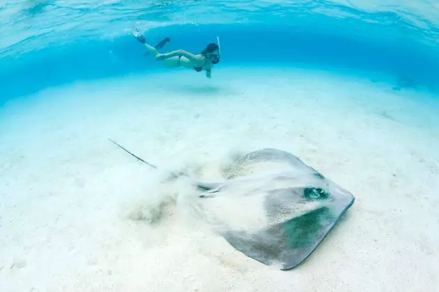 Potapljanje na Maldivih je, kot da bi to počeli prvič