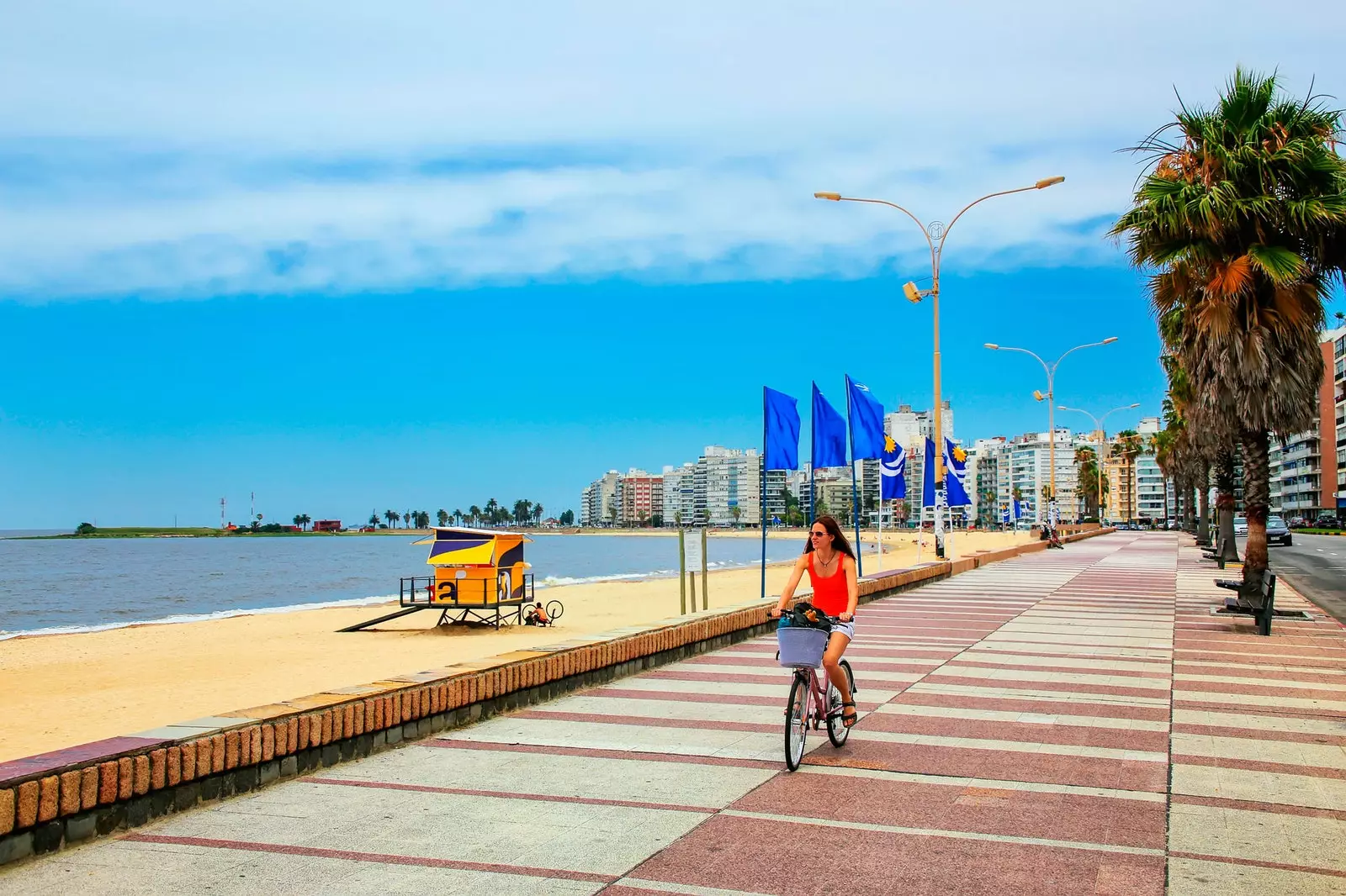 Đi bộ dọc Rambla ở Montevideo