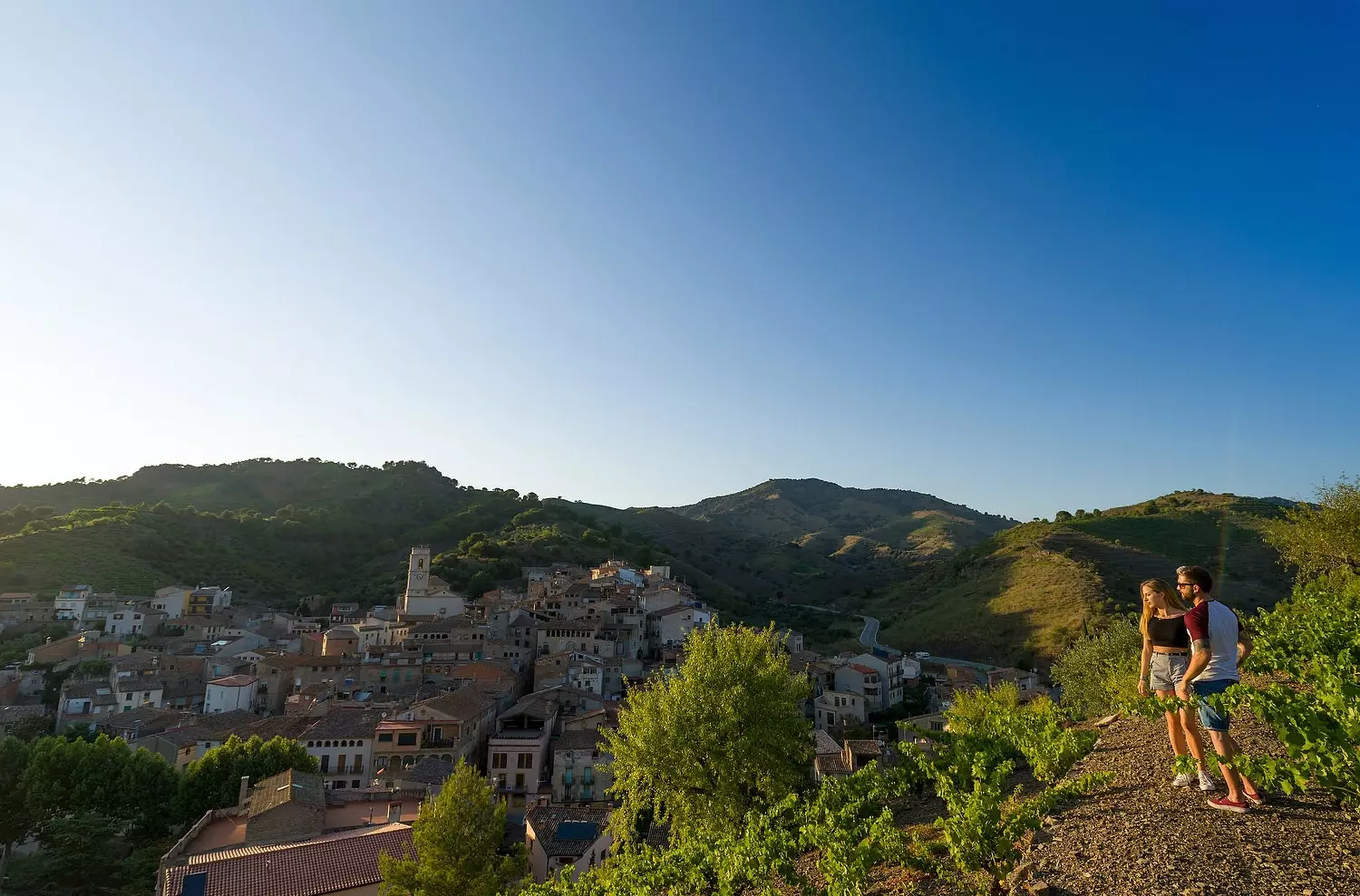 Discovering Priorat wine tourism and heroic viticulture