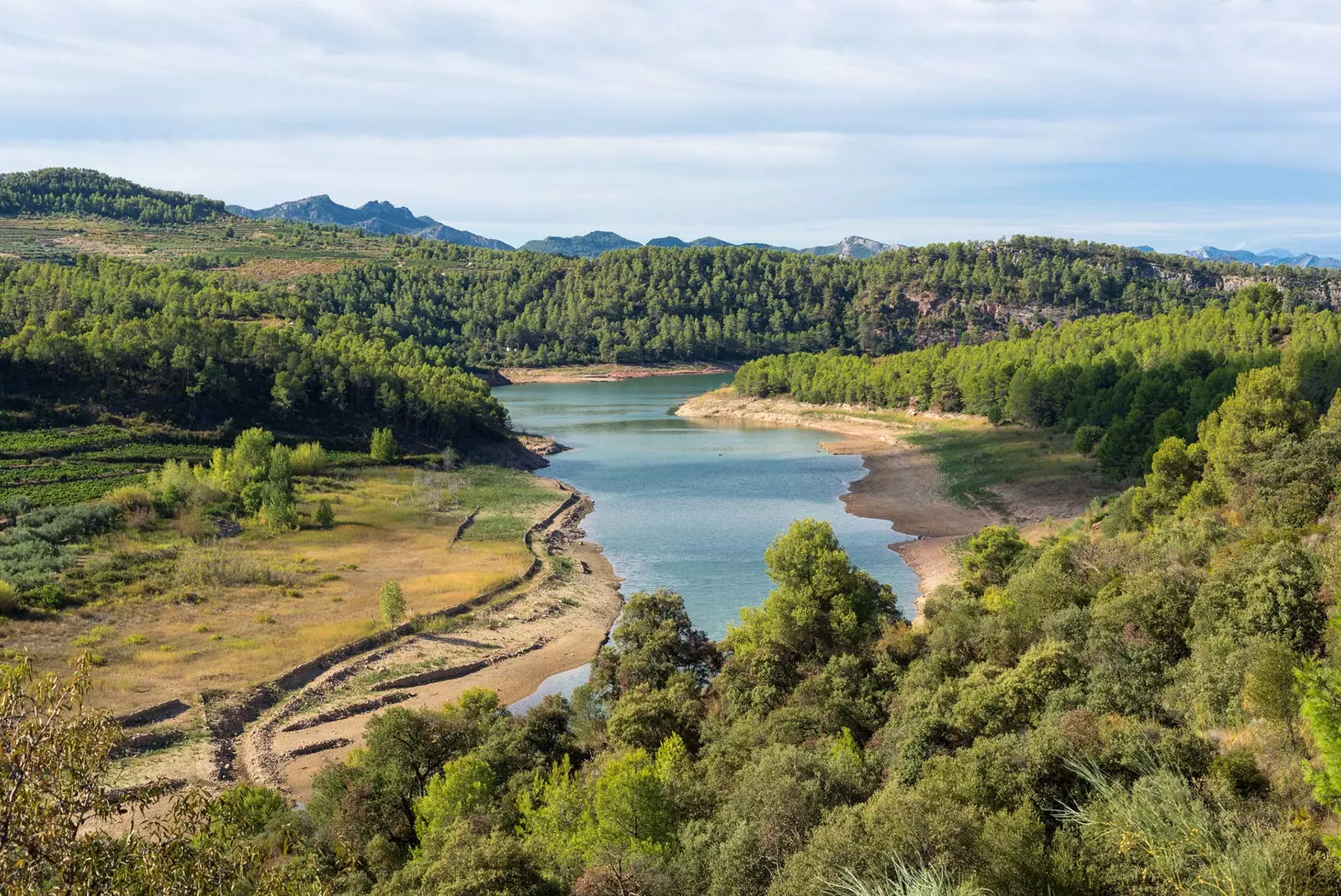 Paesaggio vicino a Capçanes