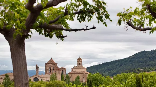 カタルーニャの原産地呼称：土地、ブドウ、美食、そして上質なワイン