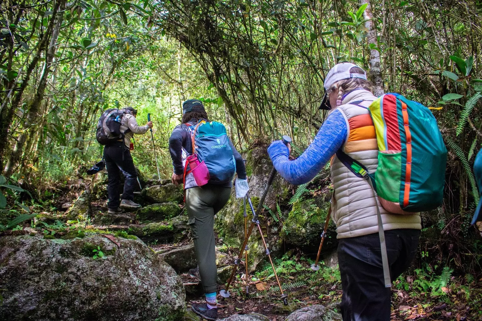 Porters travelers and a photographer in search of the top